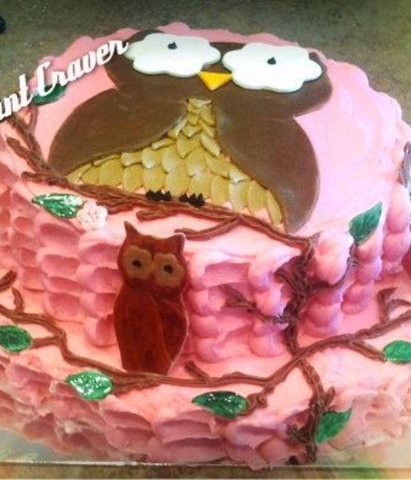 Owl Cake Decorating Photos