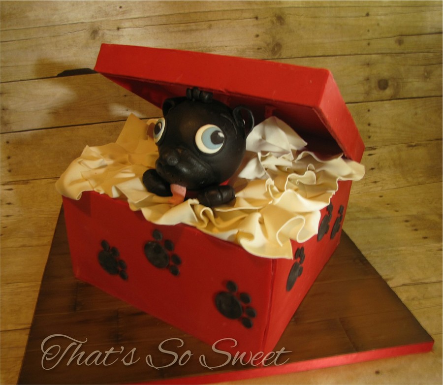 Puppy Present on Cake Central Puppy Present on Cake Central