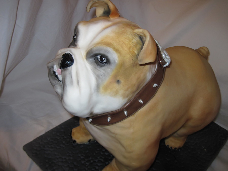 Bulldog Cake - CakeCentral.com