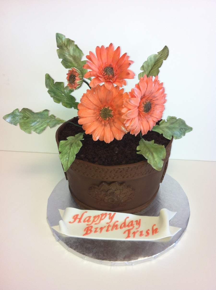 Gerber Daisy on Cake Central Gerber Daisy on Cake Central