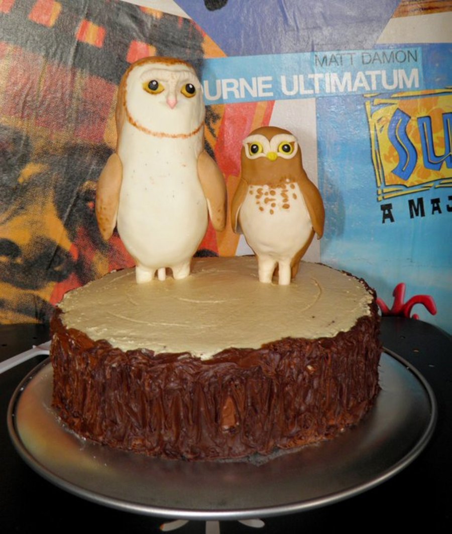 Legend Of The Guardians - Owls On Tree Stump on Cake Central Legend Of The Guardians - Owls On Tree Stump on Cake Central