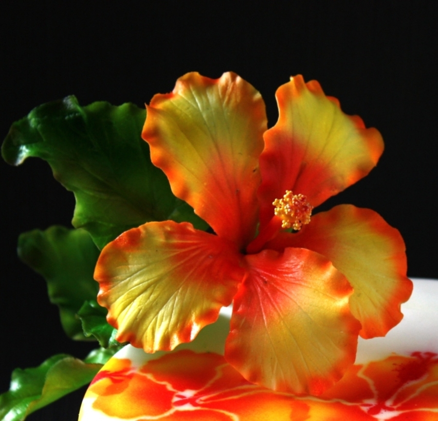 Hibiscus Sugar Flower With Airbrush