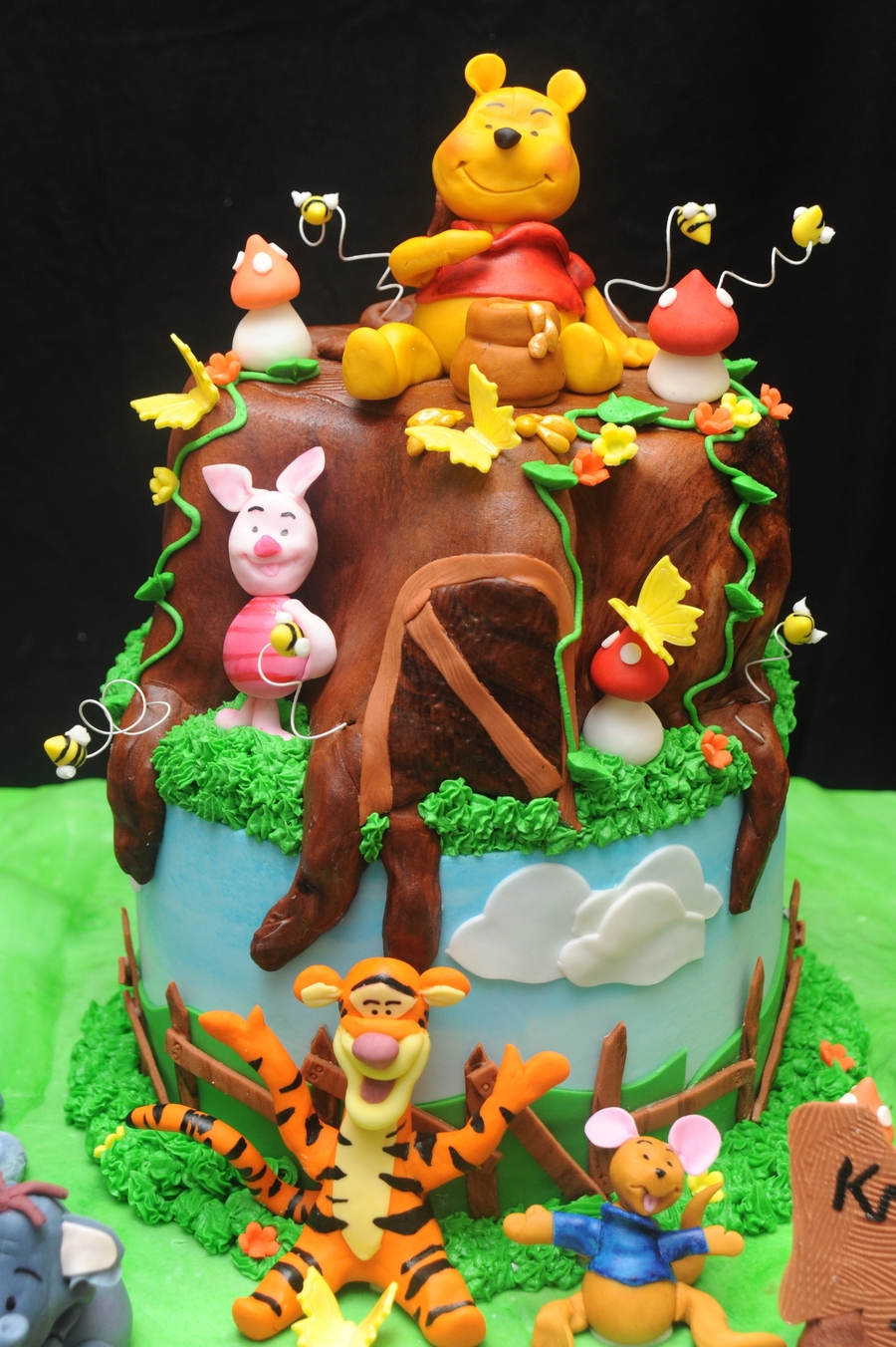 Unhappy Customer..not Enough Detail. on Cake Central Unhappy Customer..not Enough Detail. on Cake Central