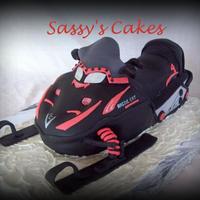 Arctic Cat Love doing sculpted cakes! alot of time, bake, stack, freeze, carve, freeze, icing, thaw, cover in fondant, details.