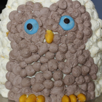 Owl Cake Owl Cake