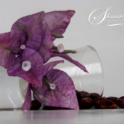Wafer Paper Bougainvillea on Cake Central
