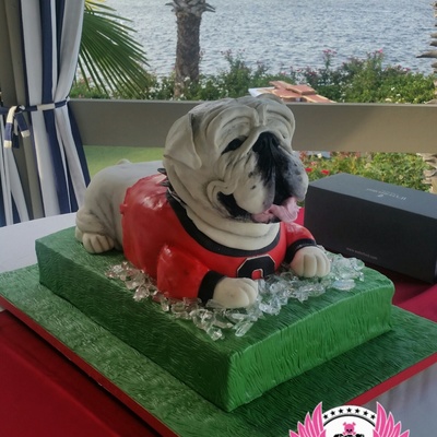 'uga' The University Of Georgia Bulldogs Mascot 'uga' The University Of Georgia Bulldogs Mascot
