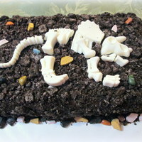 Fossil cake