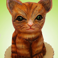 Missy Cat I love to make 3D cakes!...this cat means a lot for me...