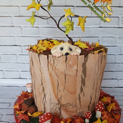 Sweet Autumn Collaboration Sweet Autumn Collaboration