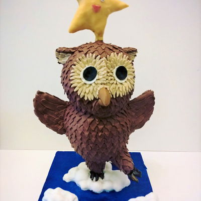3D 'twinkle Star And Owl' Cake 3D 'twinkle Star And Owl' Cake