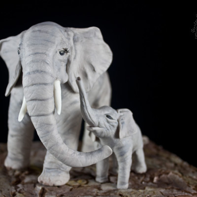 African Elephant-Animal Rights Collaboration African Elephant-Animal Rights Collaboration
