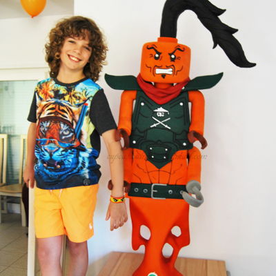 Lego Ninjago Lego Ninjago