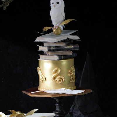 Harry Potter Cake With White Owl Harry Potter Cake With White Owl