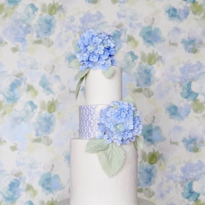 Hydrangeas Hydrangeas