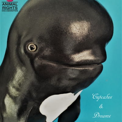 Pilot Wale - Animal Rights Collaboration 2016 Pilot Wale - Animal Rights Collaboration 2016
