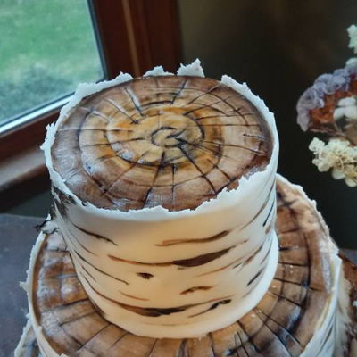 Birch Bark Wedding Cake Birch Bark Wedding Cake