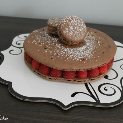 Giant Macaron Cake Giant Macaron Cake