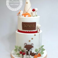 Nordic Style Cake For Tomas I made this cute cake with nordic animals for Tomas´s first birthday party. All the elements are modelled in gumpaste.