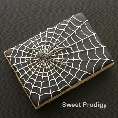 Spider Web Spider Web