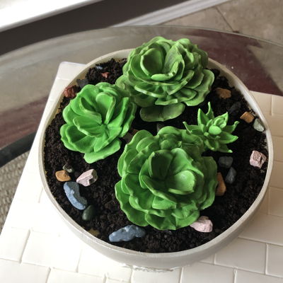 Succulents Flower Pot Cake on Cake Central