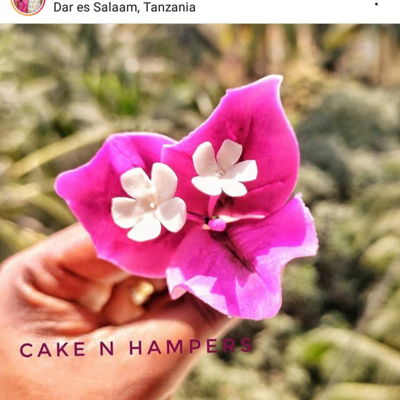Sugar Flowers Simplified on Cake Central