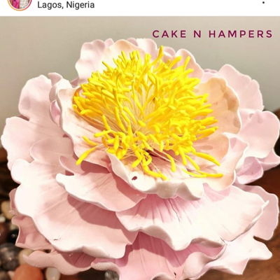 Sugar Flowers Simplified on Cake Central