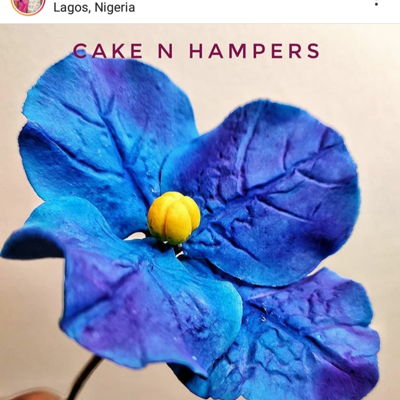 Sugar Flowers Simplified (Online Class) on Cake Central