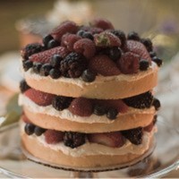 Cake Decorator megpi