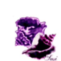 Cake Decorator SweetieShell