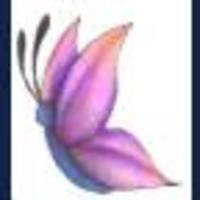 wildmayflower Cake Central Cake Decorator Profile