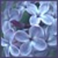 JeannieLudwig Cake Central Cake Decorator Profile