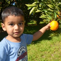 JyothiYepuri Cake Central Cake Decorator Profile