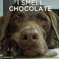 OliviaR Cake Central Cake Decorator Profile