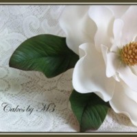 Cake Decorator cakesbym3