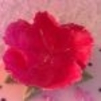 Caralinc Cake Central Cake Decorator Profile