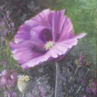 Cake Decorator Gonetothedogs