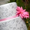 xinue  Cake Central Cake Decorator Profile