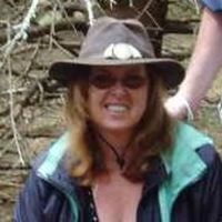 Cake Decorator silversong