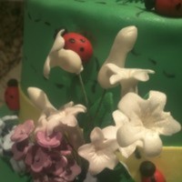 Cake Decorator csimpkin