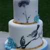 Cakes by Erin S Cake Central Cake Decorator Profile
