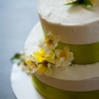 Cake Decorator MarleyCakesVT