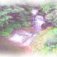 tessey Cake Central Cake Decorator Profile