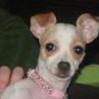 Mistee Cake Central Cake Decorator Profile