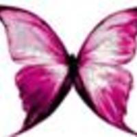 MissButterflyKissez Cake Central Cake Decorator Profile