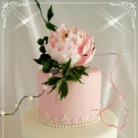 Cake Decorator Lilli13