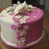 funtodecorate2  Cake Central Cake Decorator Profile