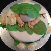 Cake Decorator cherith