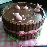 ducethomas Cake Central Cake Decorator Profile