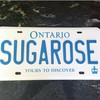 SugaRoseToronto Cake Central Cake Decorator Profile